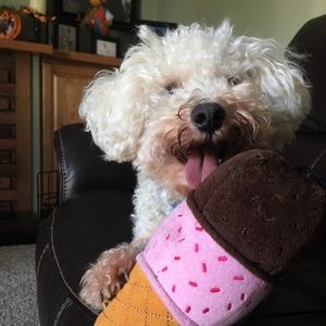 Meet your Posher, Ashley